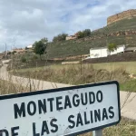 Cartel Monteagudo de las Salinas