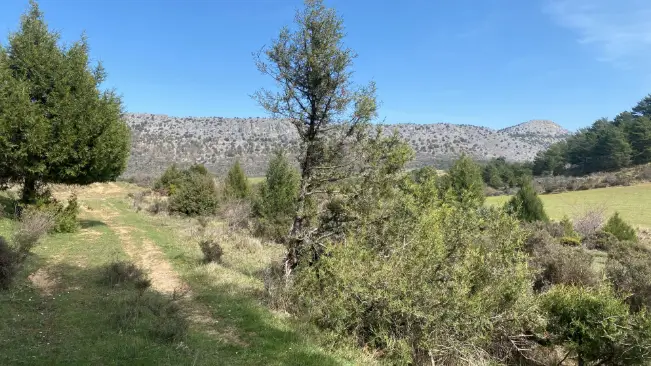 Camino rodeado de naturaleza y montañas en la etapa 15 del Camino de la Lana, antes de llegar a Santo Domingo de Silos.