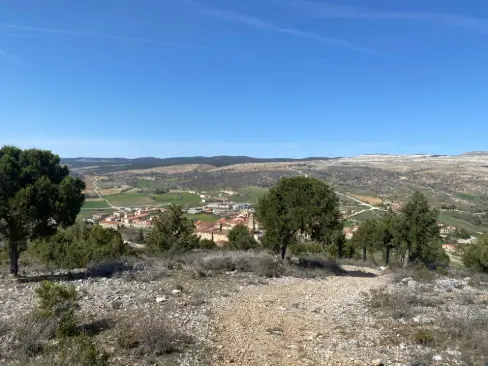 Vista panorámica de Santo Domingo de Silos desde el sendero, rodeado de árboles y campos en la etapa final del Camino de la Lana.