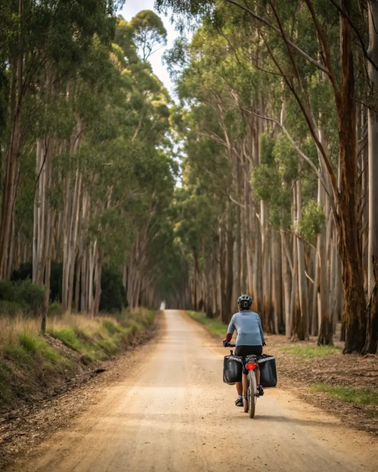 Alquiler de Bicicletas Eléctricas para el Camino de Santiago: Guía Práctica para Peregrinos