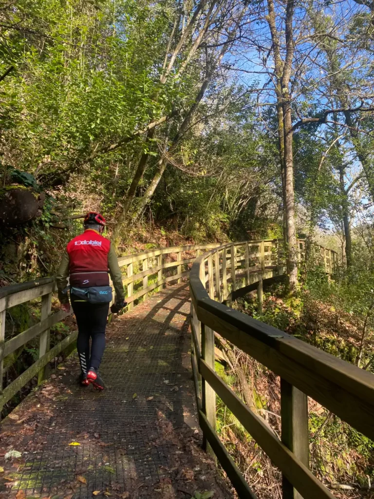 Ciclista caminando por una senda de madera entre la naturaleza en la Ruta en Bicicleta por la Ribeira Sacra