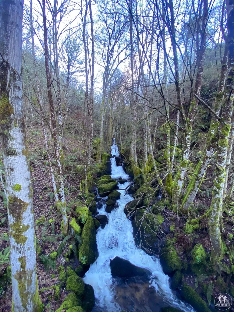 Pequeña cascada rodeada de bosques en la Ruta en Bicicleta por la Ribeira Sacra, Galicia