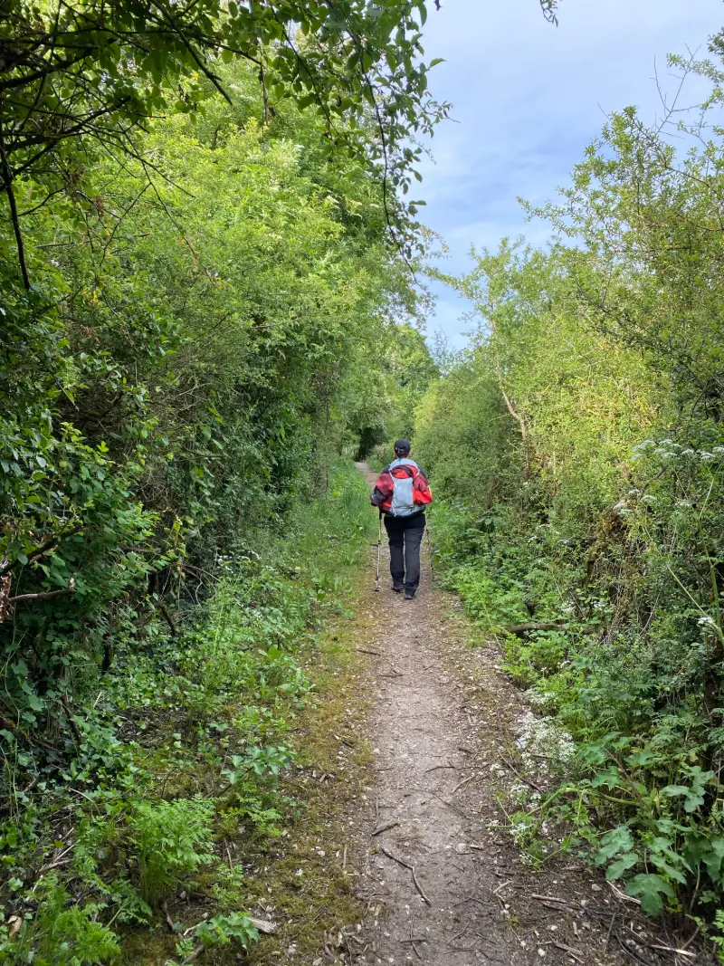 Peregrino con chaqueta roja caminando por un sendero verde en el Camino de Santiago, rodeado de árboles y vegetación exuberante.