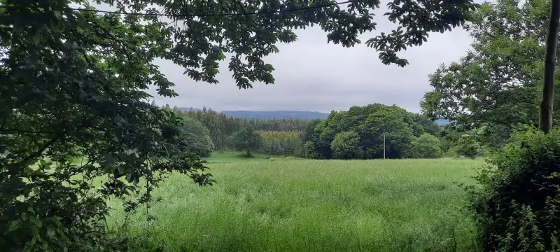 Vista panorámica de un paisaje verde en el Camino de Santiago, con árboles y montañas en el horizonte bajo un cielo nublado.
