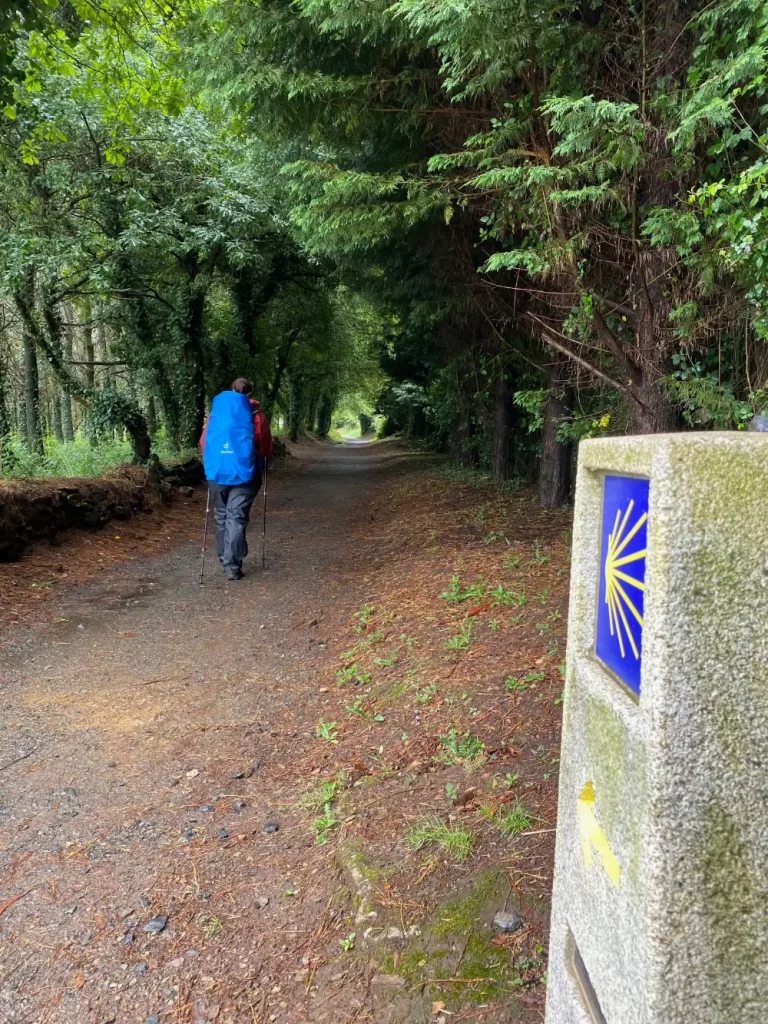 Peregrino caminando con mochila en una etapa del Camino de Santiago