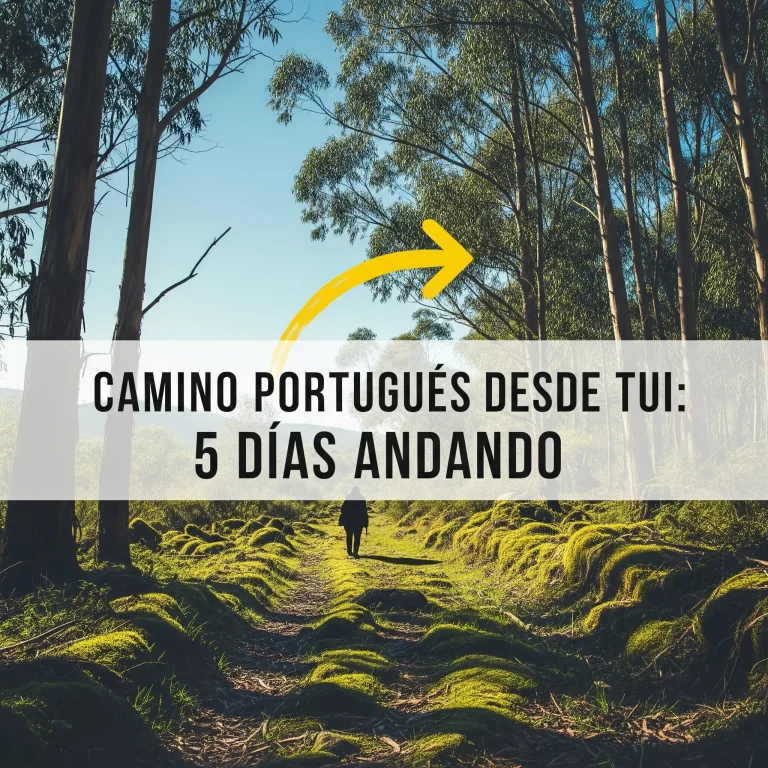 Camino Portugués desde Tui: Guía de Etapas, Albergues y Mapas