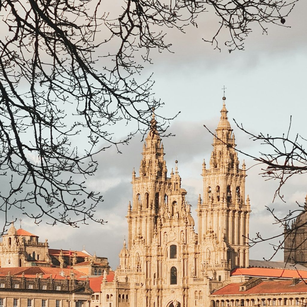 Torres de la Catedral de Santiago entre ramas de árboles