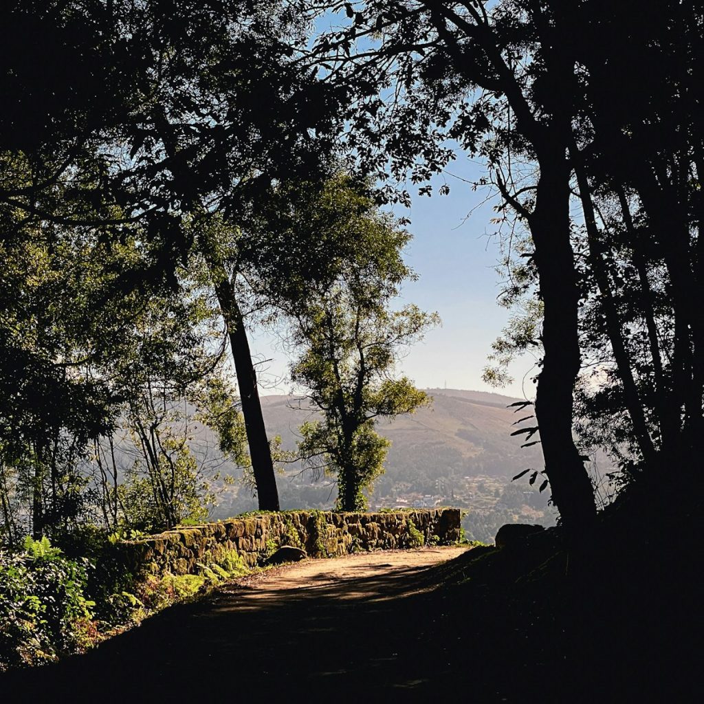 Camino entre árboles otoñales junto a un muro de piedra