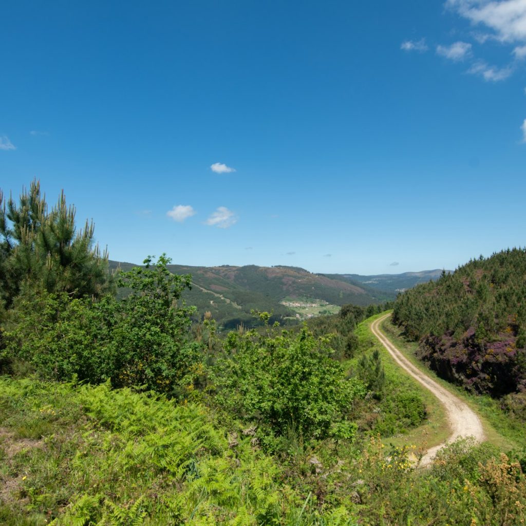 Carretera entre montañas verdes del norte de España